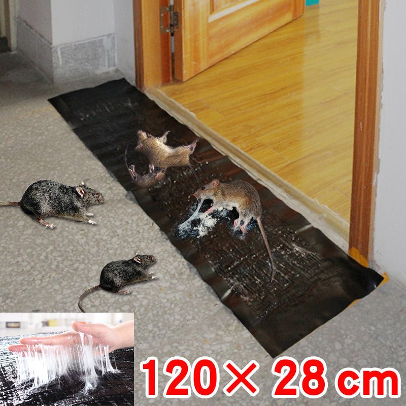 Large Non-Toxic Glue Trap for Indoor and Outdoor Pest Control
