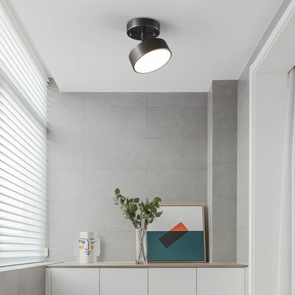 Minimalist Brushed Gold Ceiling Light
