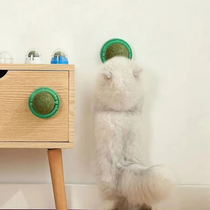 Interactive Catnip Ball Toy