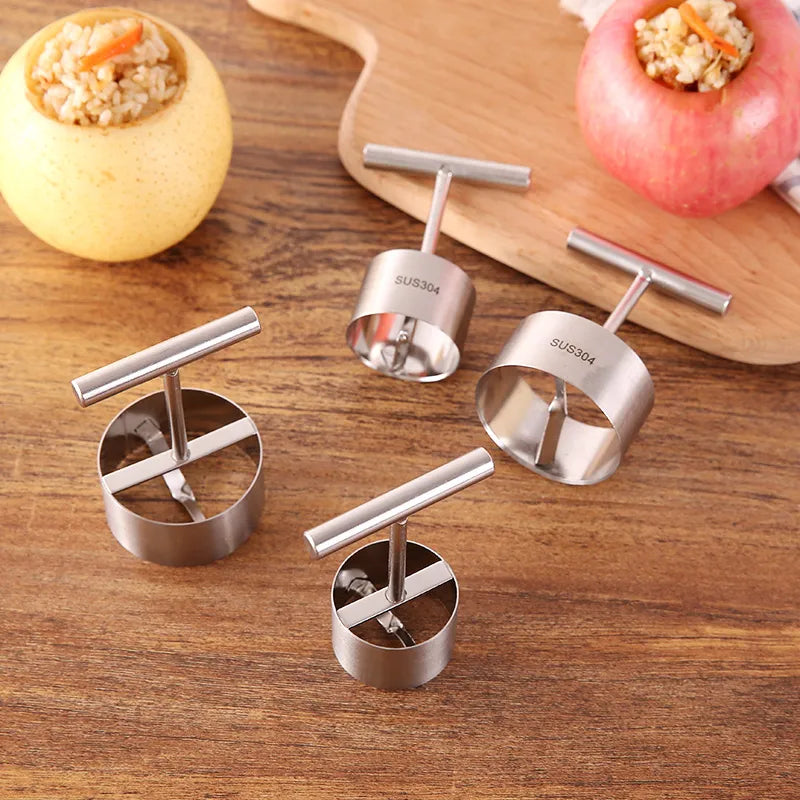 Stainless Steel Fruit Corer with T-Shaped Handle