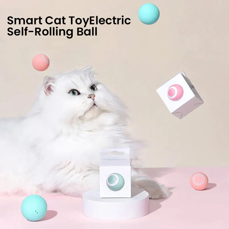 Interactive Heart Pattern Cat Play Mat