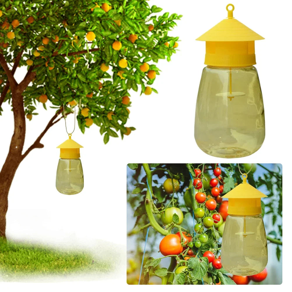 Fruit Fly Trap Hanging With Natural Scent Lure For Garden Pest Control