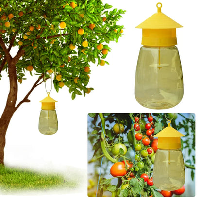 Fruit Fly Trap Hanging With Natural Scent Lure For Garden Pest Control