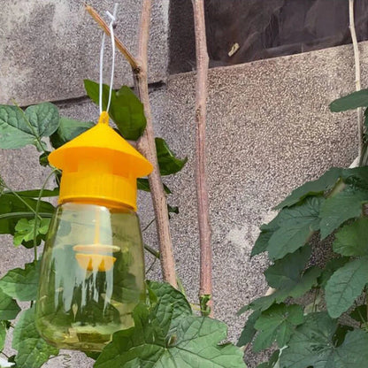 Fruit Fly Trap Hanging With Natural Scent Lure For Garden Pest Control