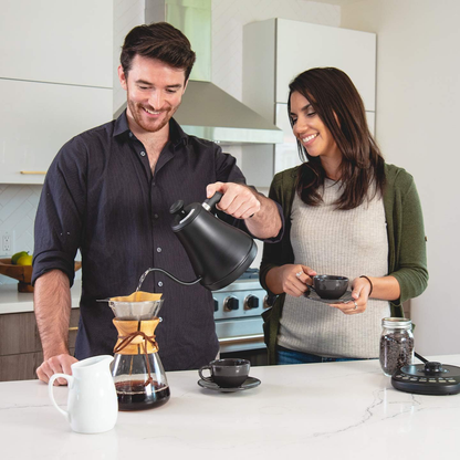 Electric Gooseneck Kettle With Temperature Control And Precise Pouring