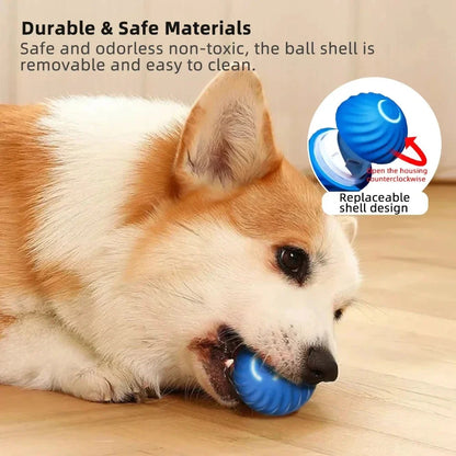 Active Rolling Ball Dog Toy for Anxiety Relief and Interactive Play