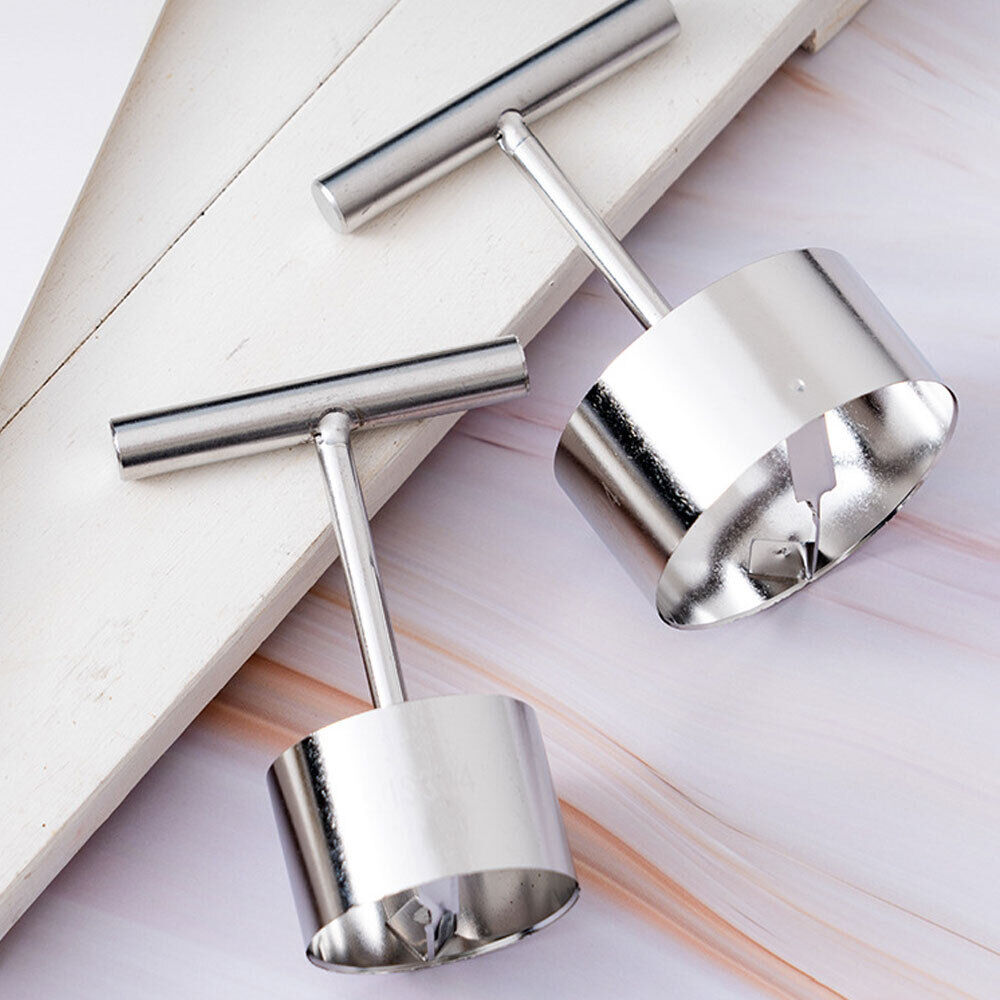 Stainless Steel Fruit Corer with T-Shaped Handle