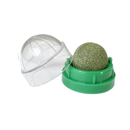 Interactive Green Catnip Ball Toy
