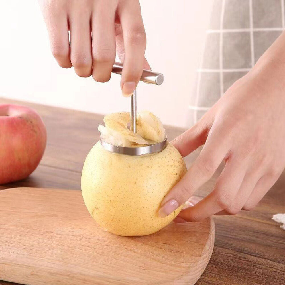 Stainless Steel Fruit Corer with T-Shaped Handle