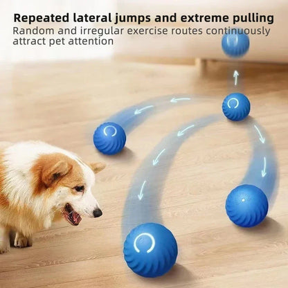 Active Rolling Ball Dog Toy for Anxiety Relief and Interactive Play