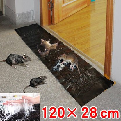 Large Non-Toxic Glue Trap for Indoor and Outdoor Pest Control