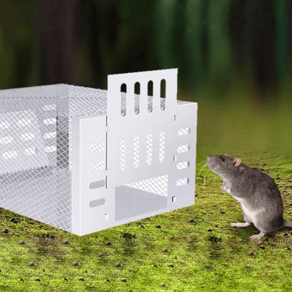 Humane Mouse Trap Reusable Chemical-Free Live Catch for Indoor Outdoor Use