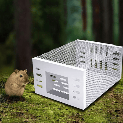 Humane Mouse Trap Reusable Chemical-Free Live Catch for Indoor Outdoor Use