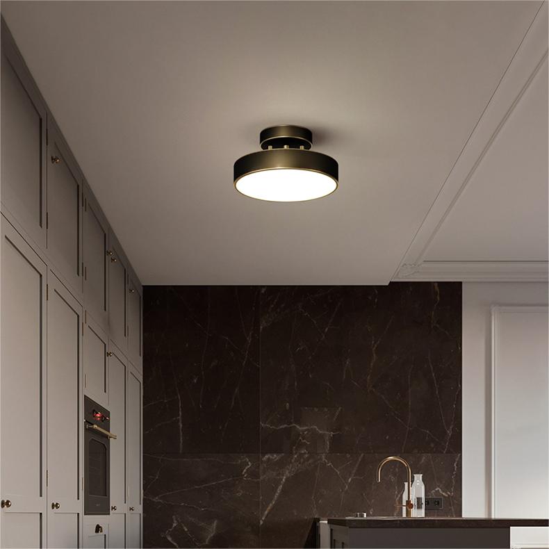 Minimalist Brushed Gold Ceiling Light