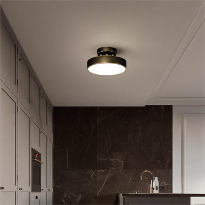 Minimalist Brushed Gold Ceiling Light