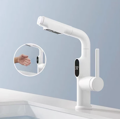 Digital Display Chrome Kitchen Faucet