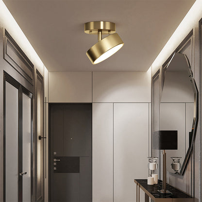 Minimalist Brushed Gold Ceiling Light