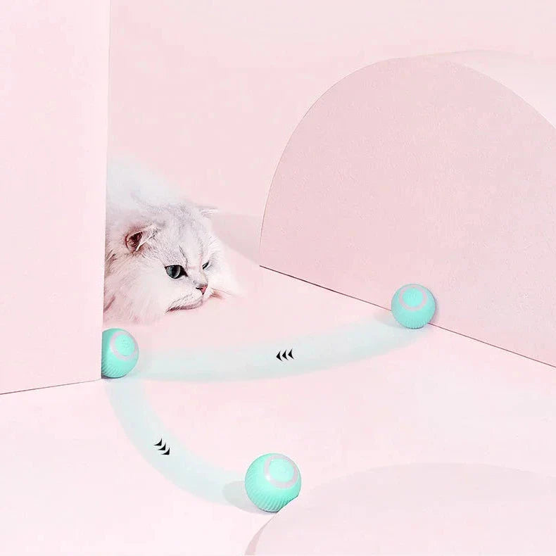 Interactive Heart Pattern Cat Play Mat