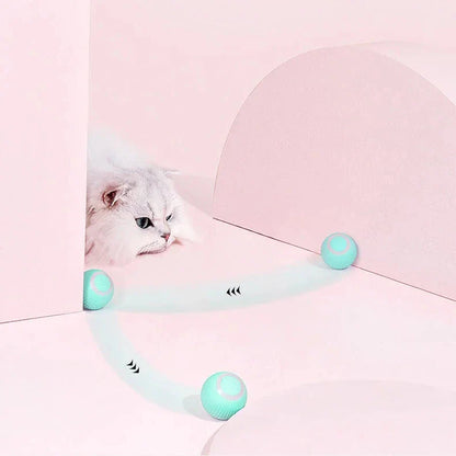 Interactive Heart Pattern Cat Play Mat