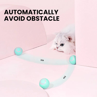 Interactive Heart Pattern Cat Play Mat