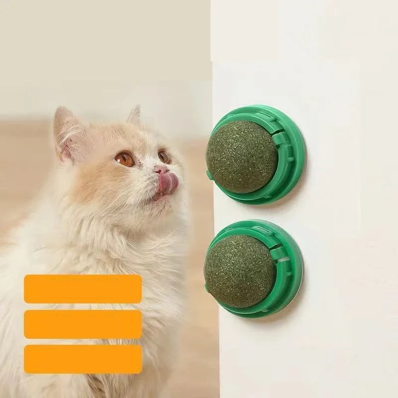Interactive Green Catnip Ball Toy