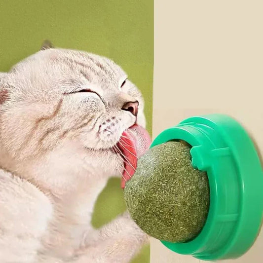 Interactive Green Catnip Ball Toy