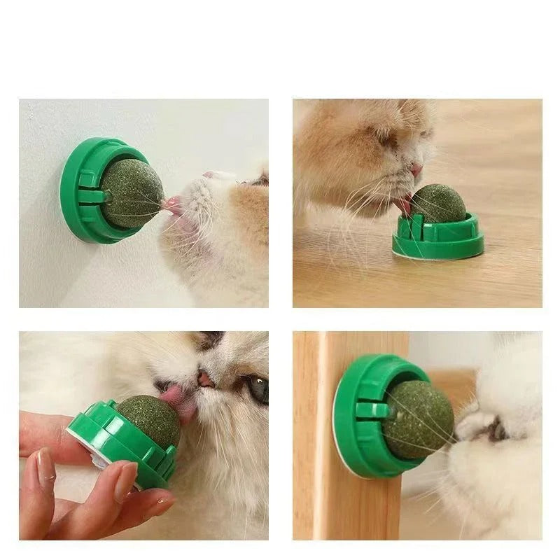 Interactive Green Catnip Ball Toy