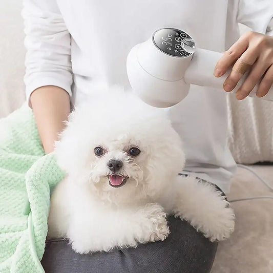 Compact Digital Dog Hair Dryer with Ergonomic Handle