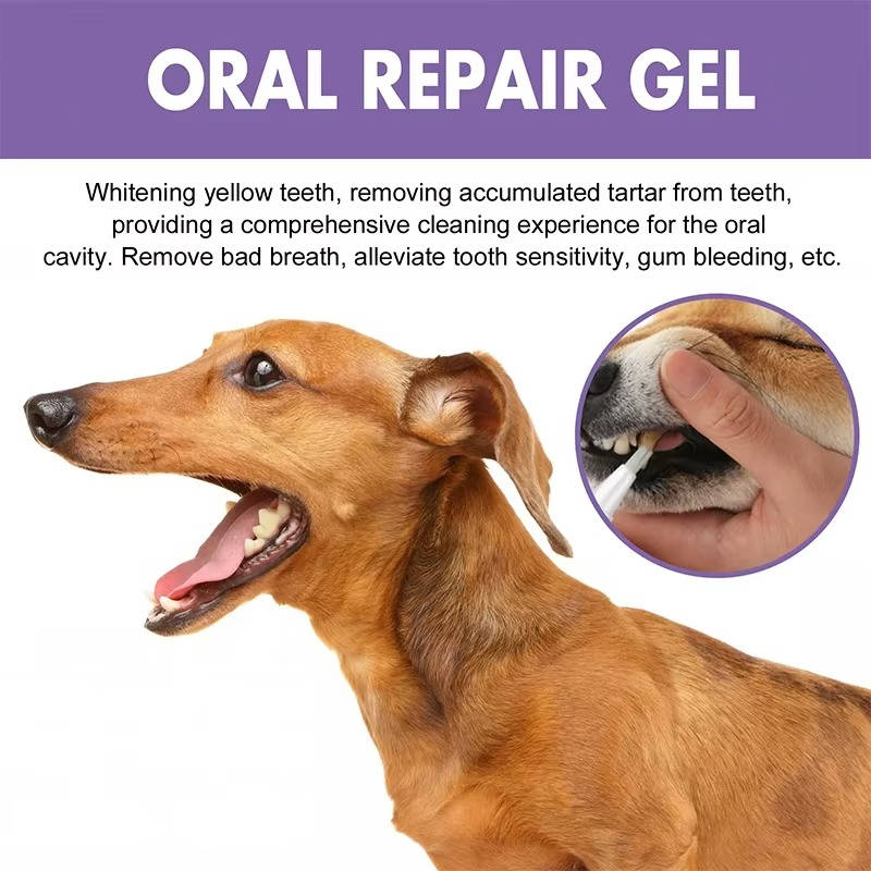 Dog Oral Repair Gel 3 Pack for Teeth Whitening Fresh Breath and Gum Care