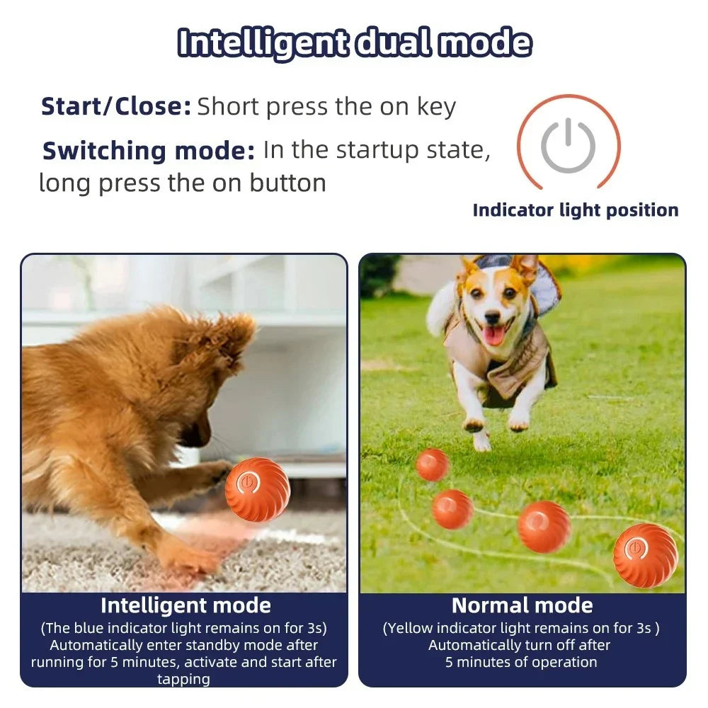 Active Rolling Ball Dog Toy for Anxiety Relief and Interactive Play