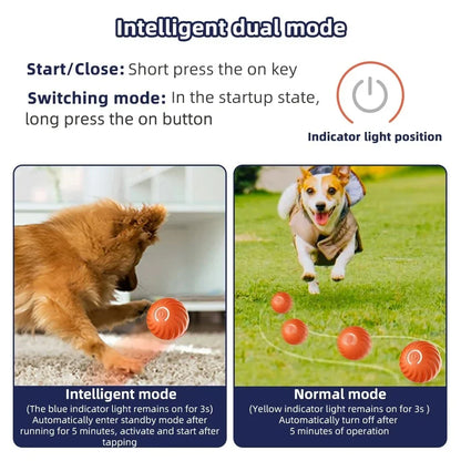 Active Rolling Ball Dog Toy for Anxiety Relief and Interactive Play