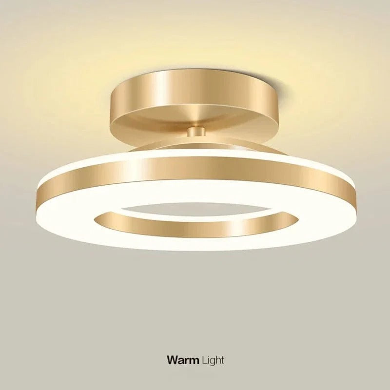 Adjustable LED Ceiling Light Fixture Round Surface Mounted 12W 19W