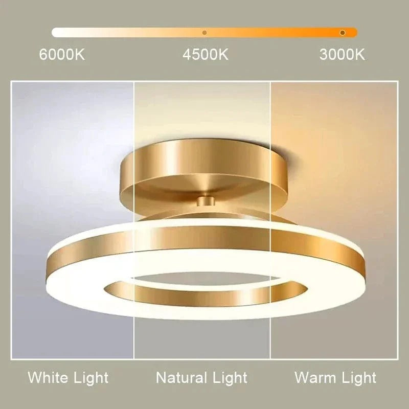 Adjustable LED Ceiling Light Fixture Round Surface Mounted 12W 19W
