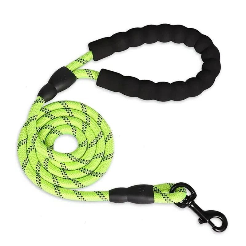 Reflective Nylon Dog Leash with Padded Handle for Strong Dogs