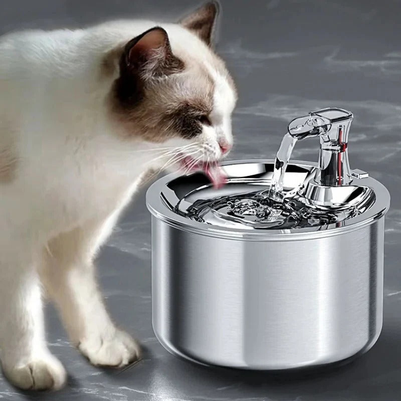 Stainless Steel Cat Water Fountain with Filter and Motion Sensor