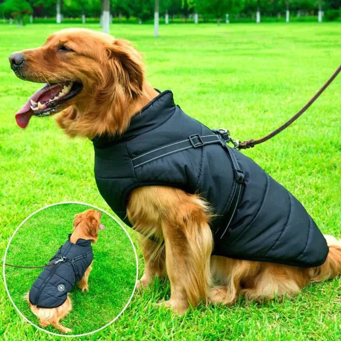 Waterproof Windproof Sherpa Lined Dog Jacket With Built-In Harness
