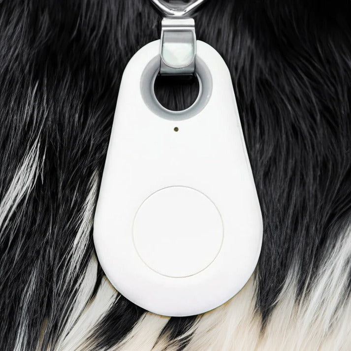 Waterproof Bluetooth GPS Pet Tracker for Dogs and Cats Real-Time Tracking
