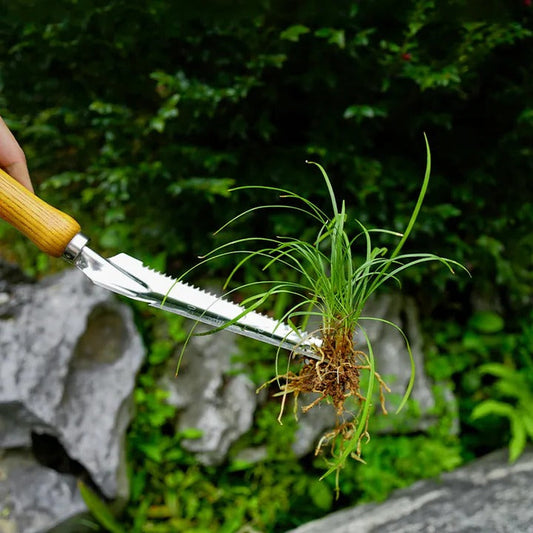 5-in-1 Stainless Steel Weed Puller Tool with Beech Wood Handle