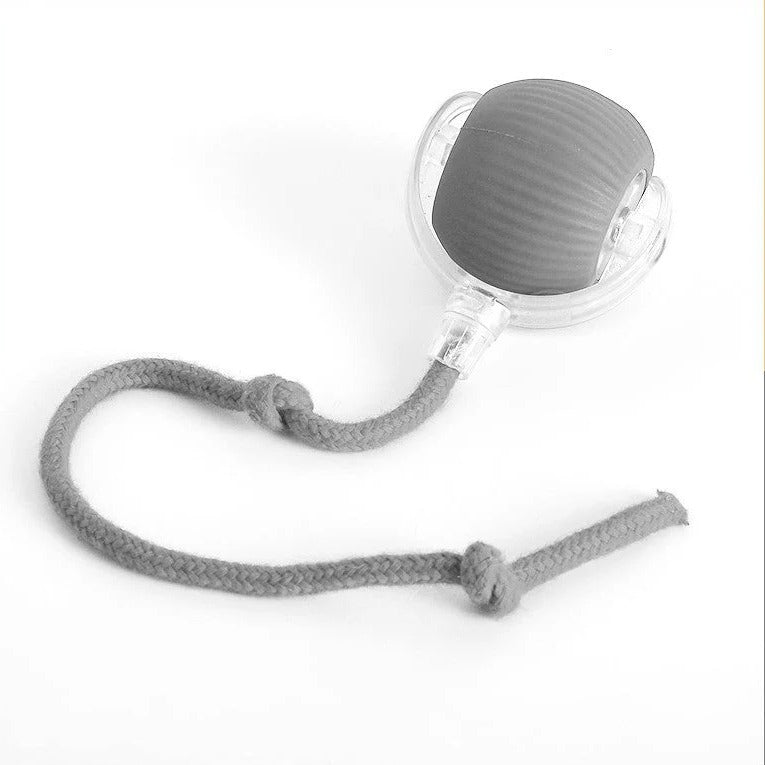 Interactive Rolling Dog Ball Toy with Tail Attachment for Active Play