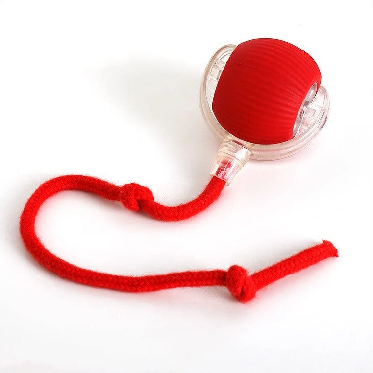 Interactive Rolling Dog Ball Toy with Tail Attachment for Active Play