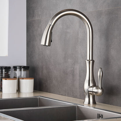 Modern Brass Pull-Out Kitchen Faucet