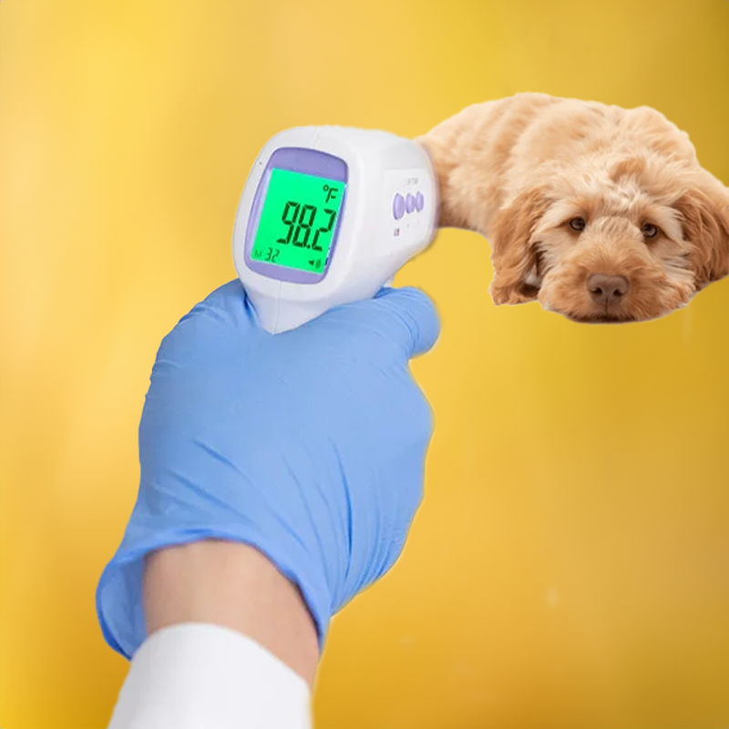 Non-Contact Digital Pet Thermometer Infrared Fast Accurate Temperature
